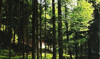 圖說巴中美景 | 林木蔥蘢清風(fēng)爽，康養(yǎng)勝地天馬山